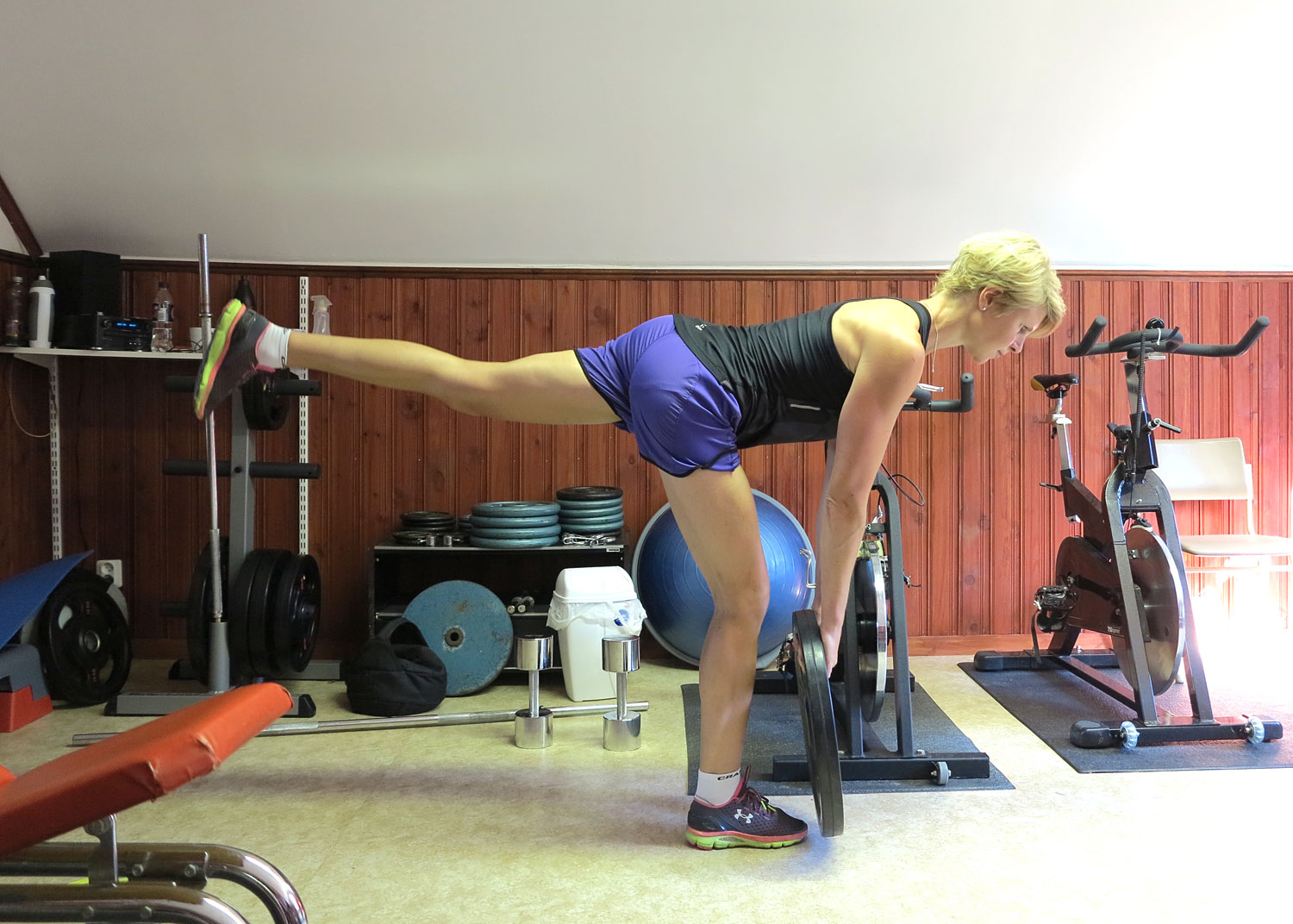 draken_annalissjanis