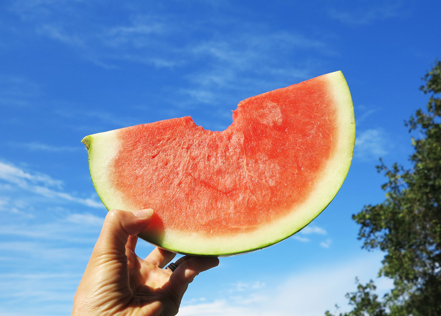 Vattenmelon - annalissjanis.se