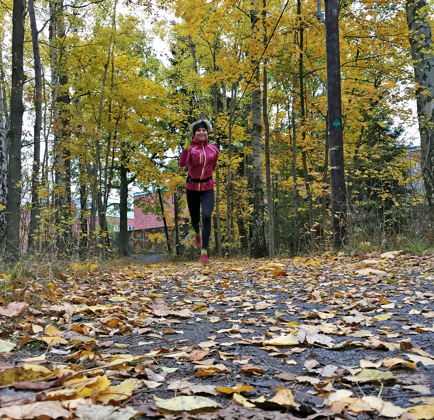 Konditionsträning i skogen - Anna Lissjanis