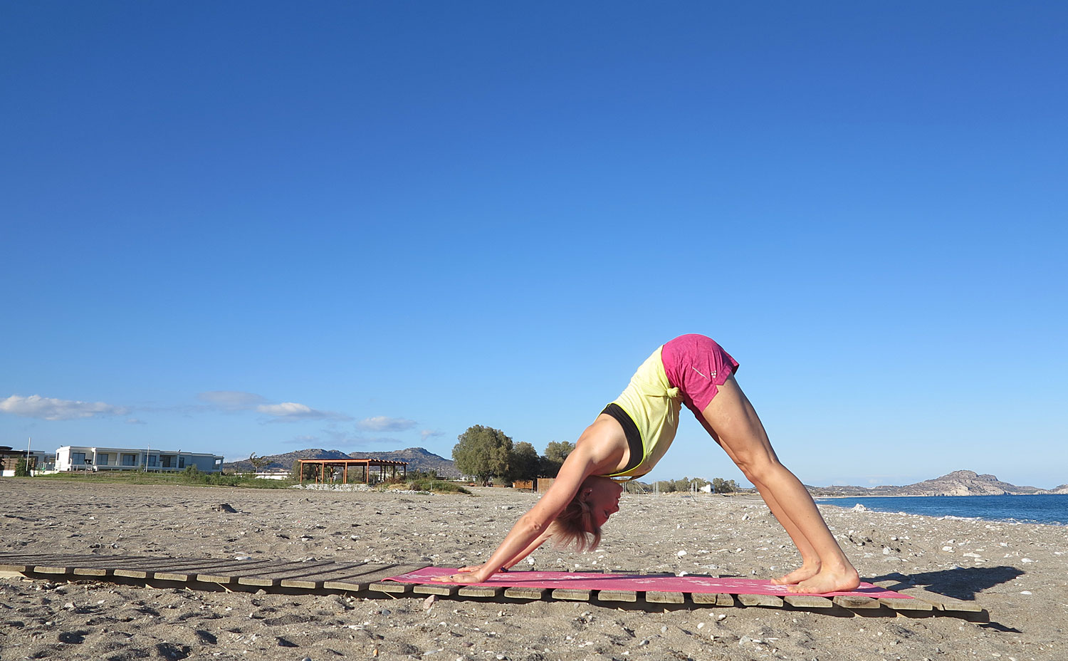 hunden_strand - yogapositioner
