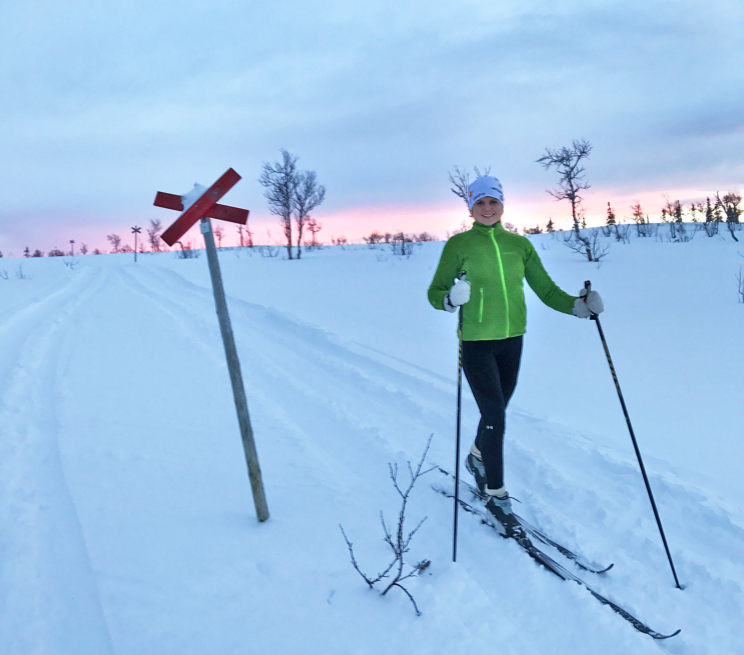 annalissjanis_skidor_blasjfj16