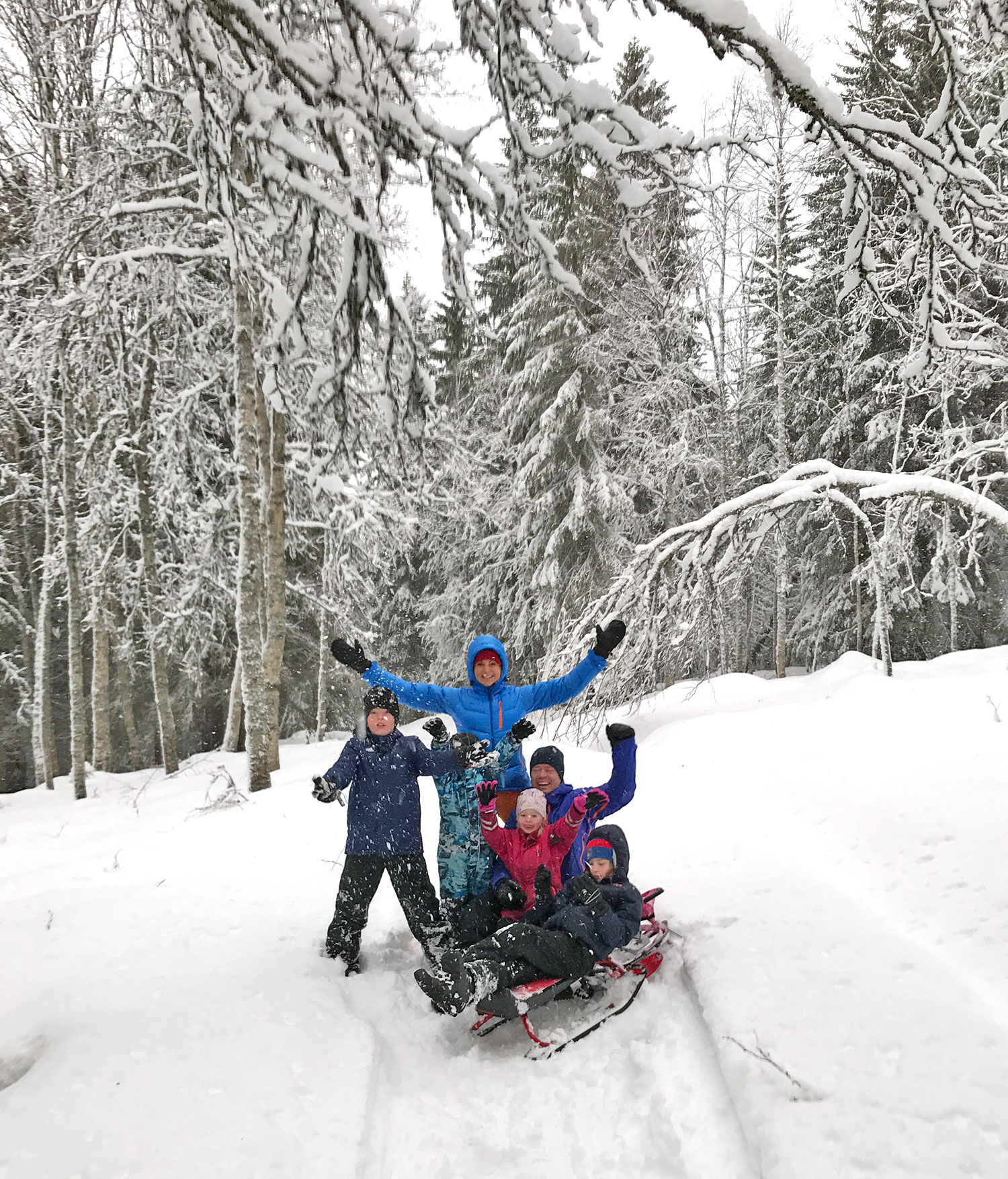 fam_lissjanis_nyar16 - 2017