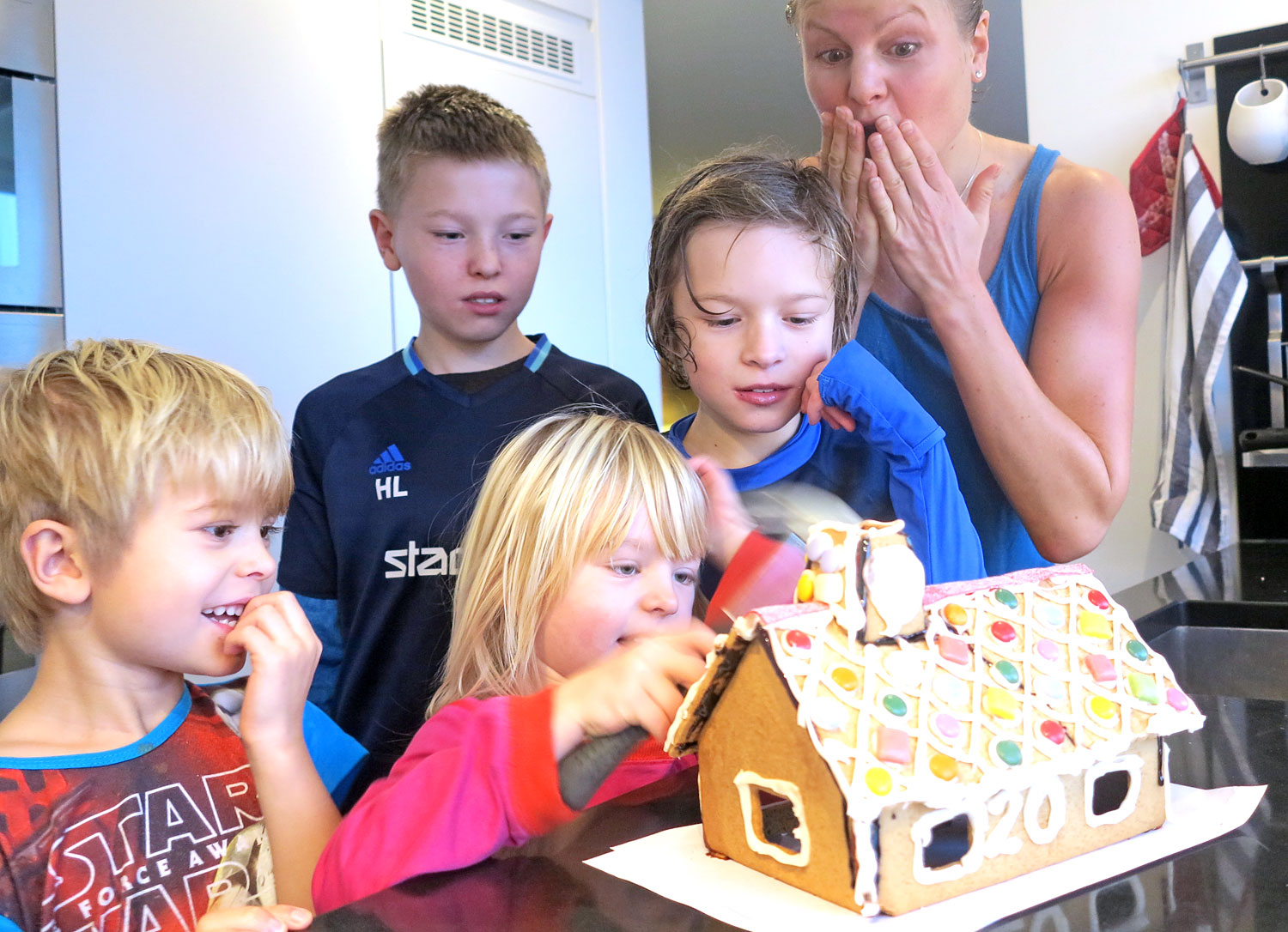 pepparkakshus_riv2016