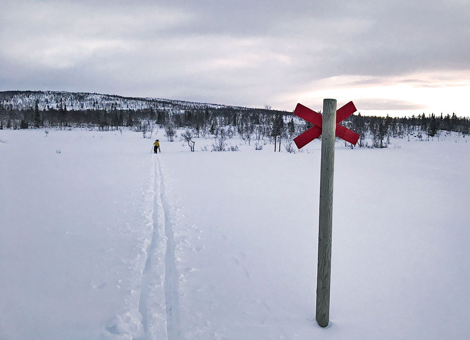 skidor_blasjofjallet