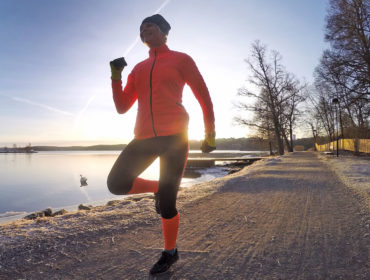 anna_lop_djurg_var17