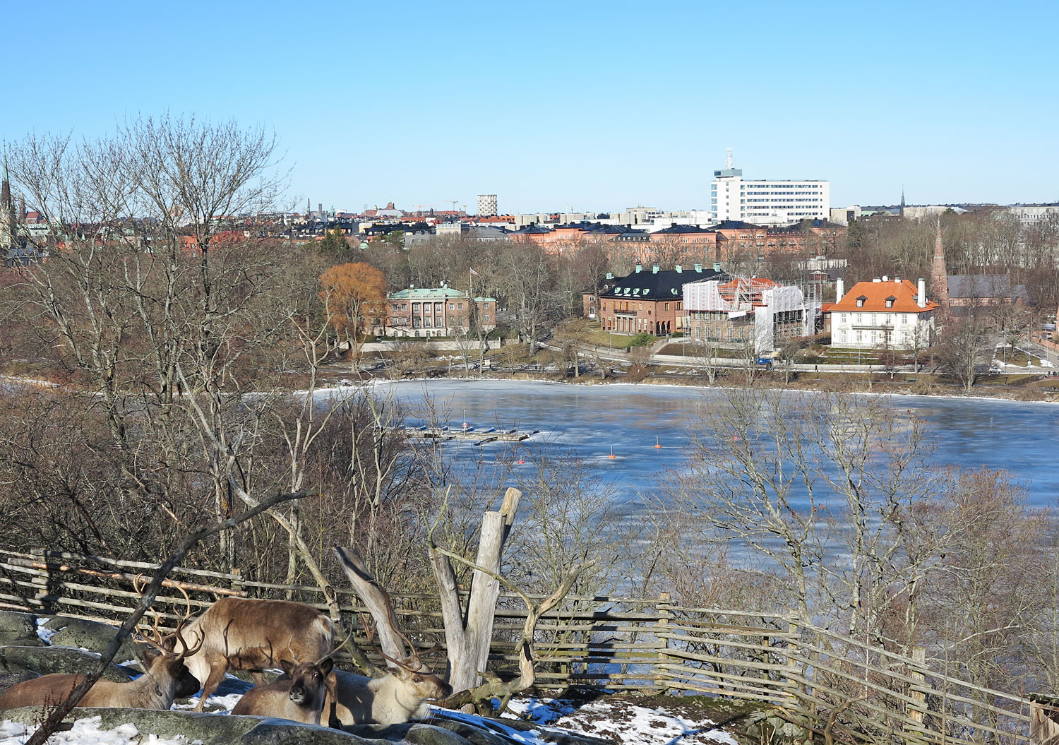 renar_skansen - sommar i stockholm