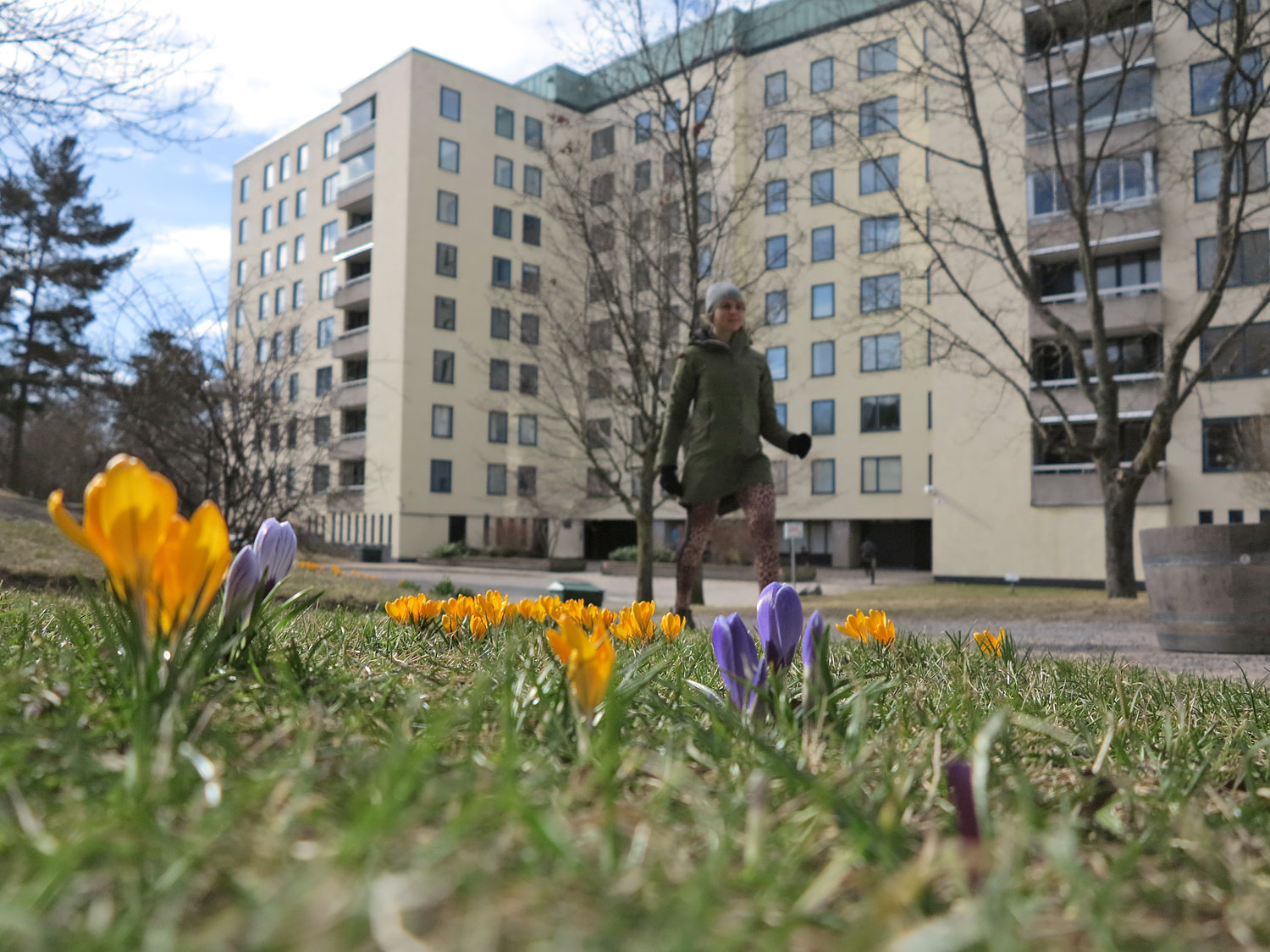 varblommor - vårtecken