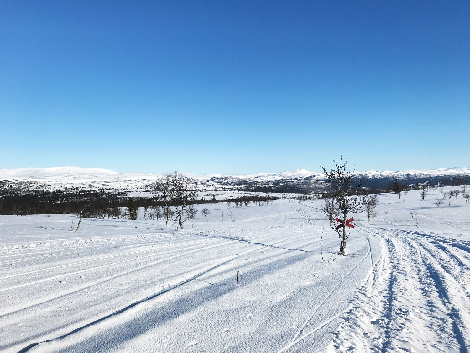 blasjofjallet_17 - Blåsjöfjället