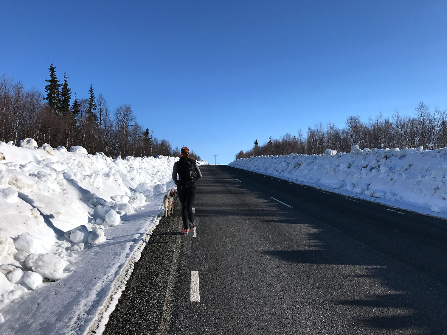 elin_lop_blasjofjall - Blåsjöfjället