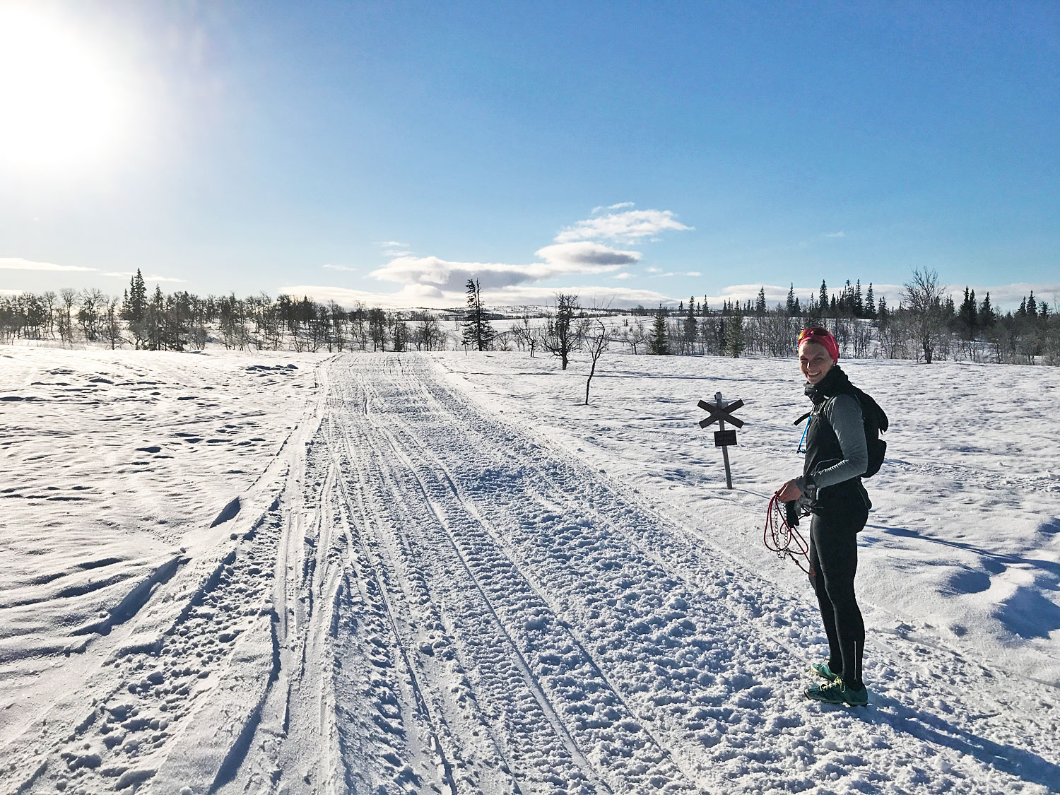elinblom_lopask17 - Blåsjöfjället