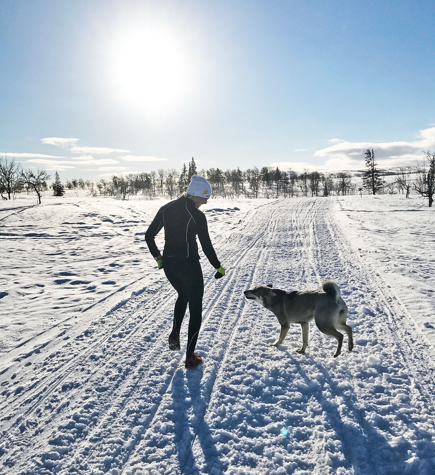 lop_blasjofjall_17 - Blåsjöfjället