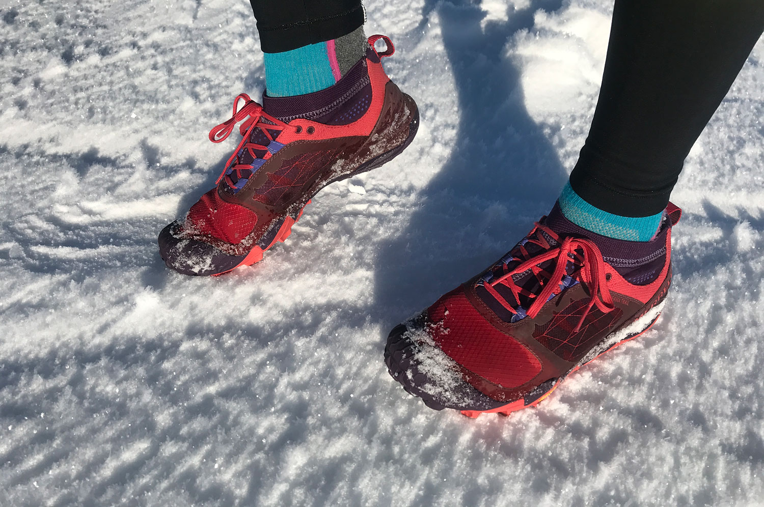 lopskor_sno - Blåsjöfjället