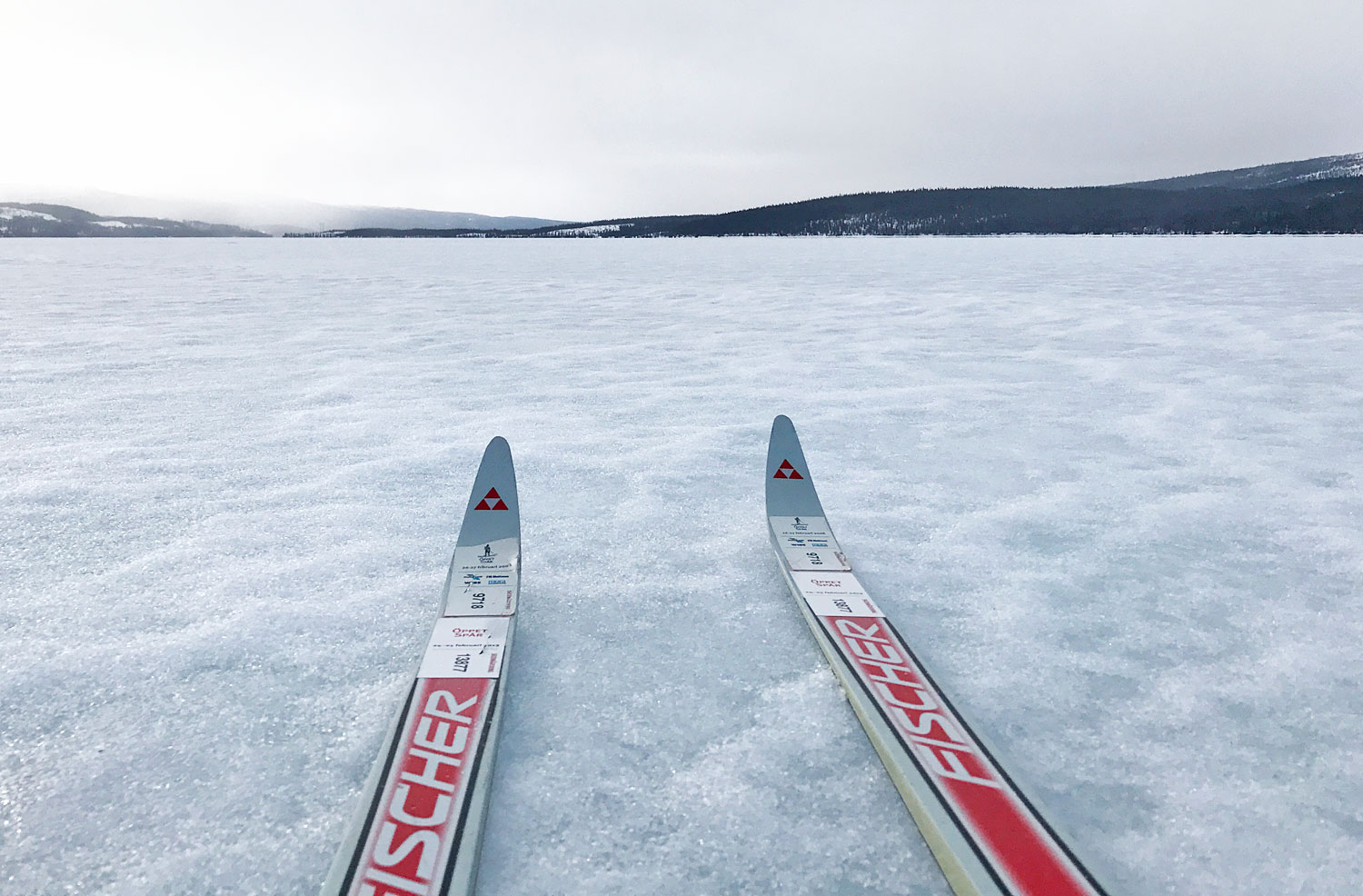 skejt_skidor_pask17 - skidåkning