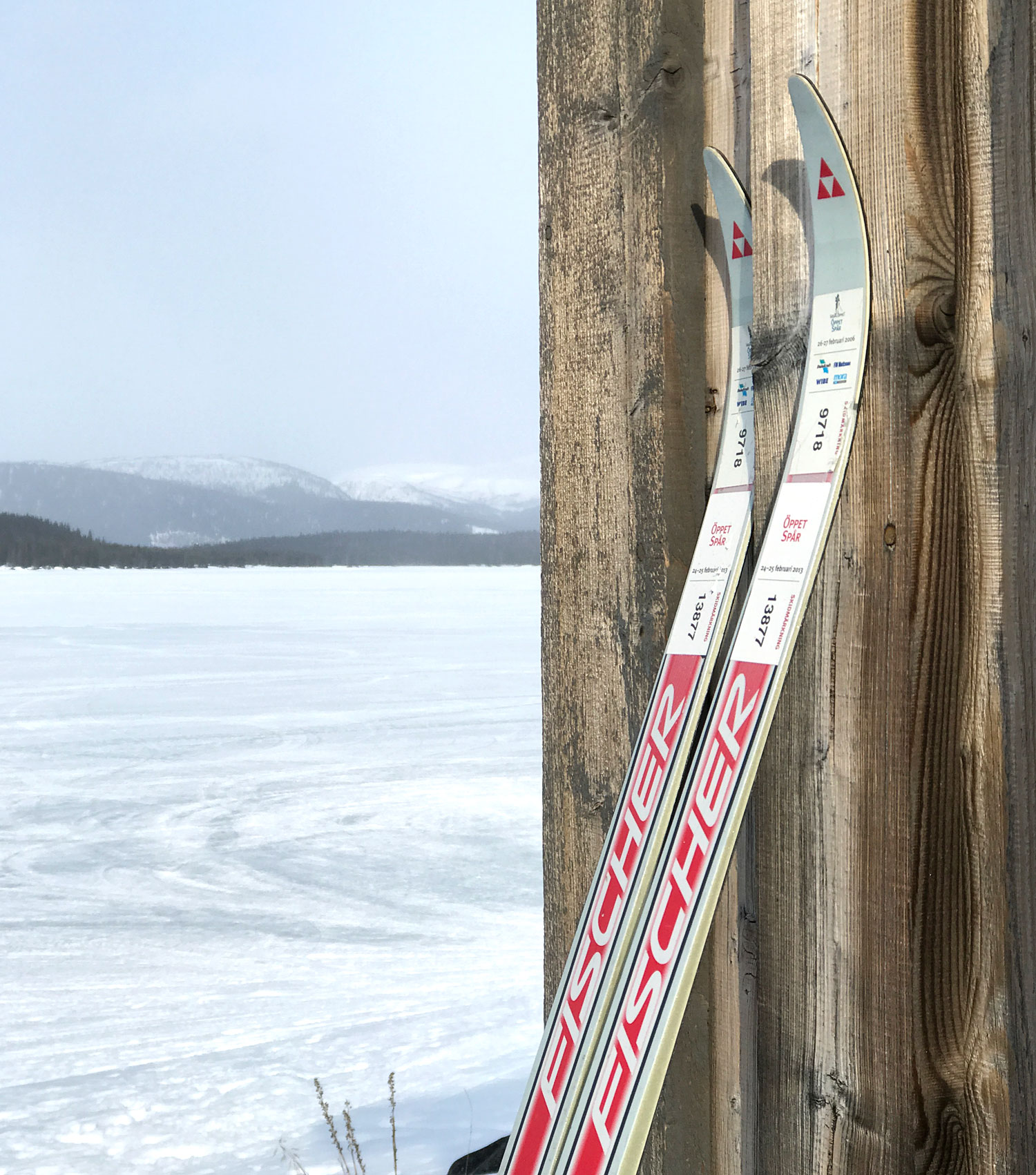 skidor_scintec - skidåkning