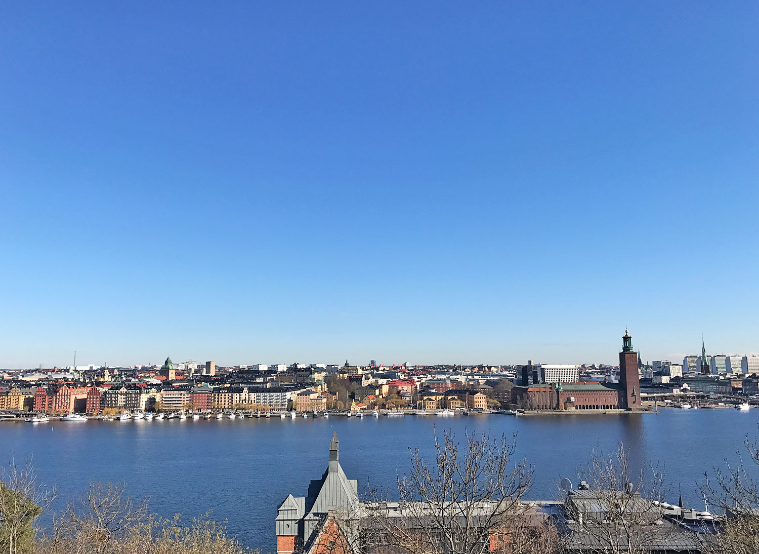 stockholm_view - löpcoach