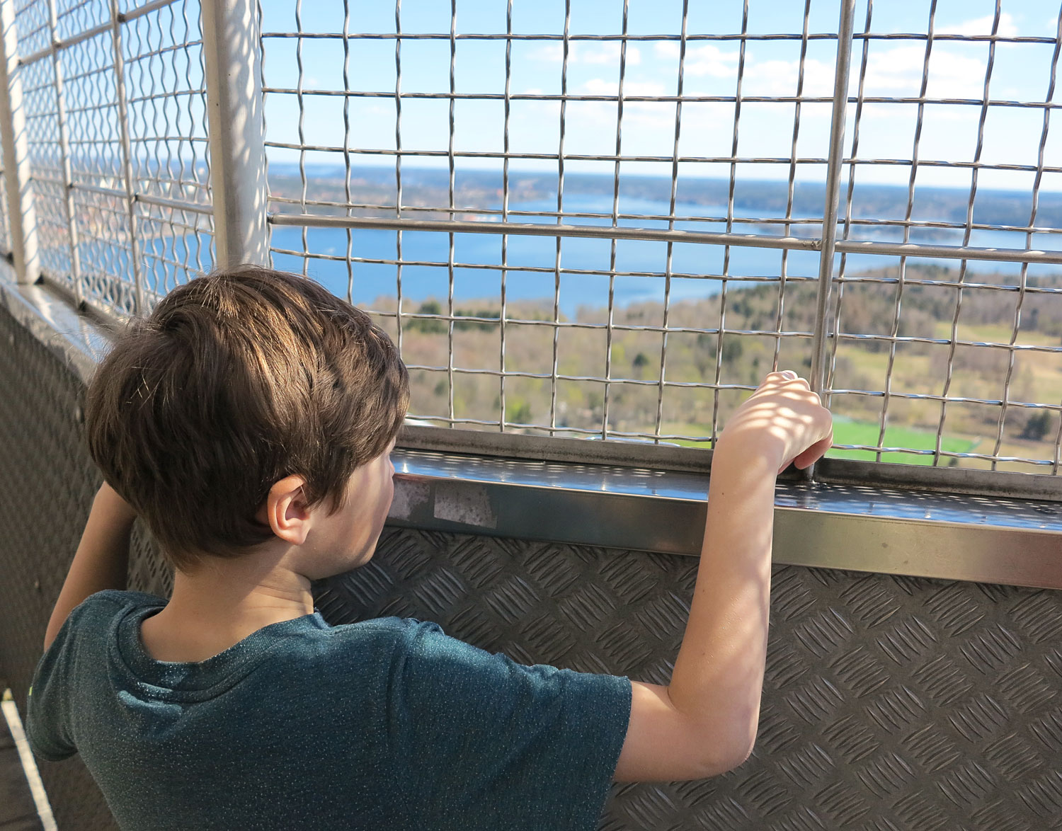 hampu_galler - målbilder