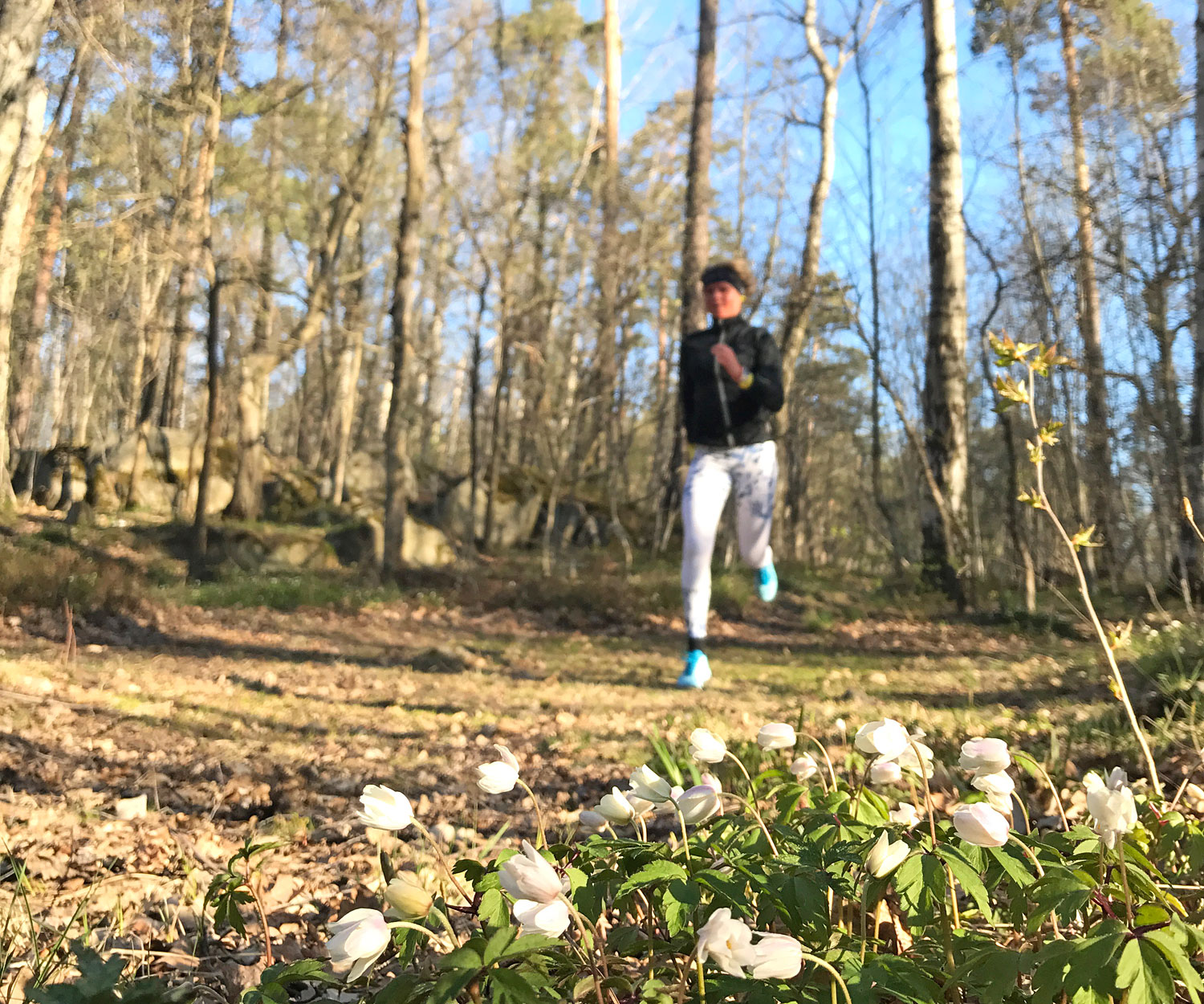 lop_vitsippor - Verkligheten IRL v.s. digitalt