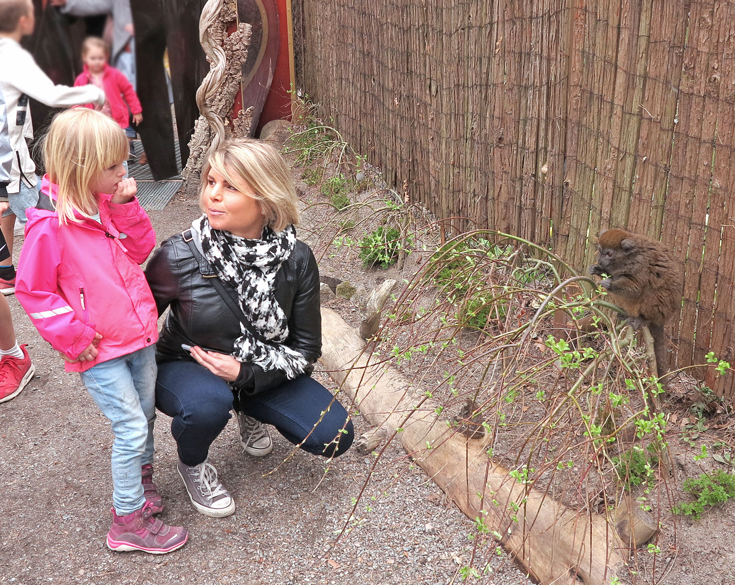 parkenzoo_apa - parken zoo