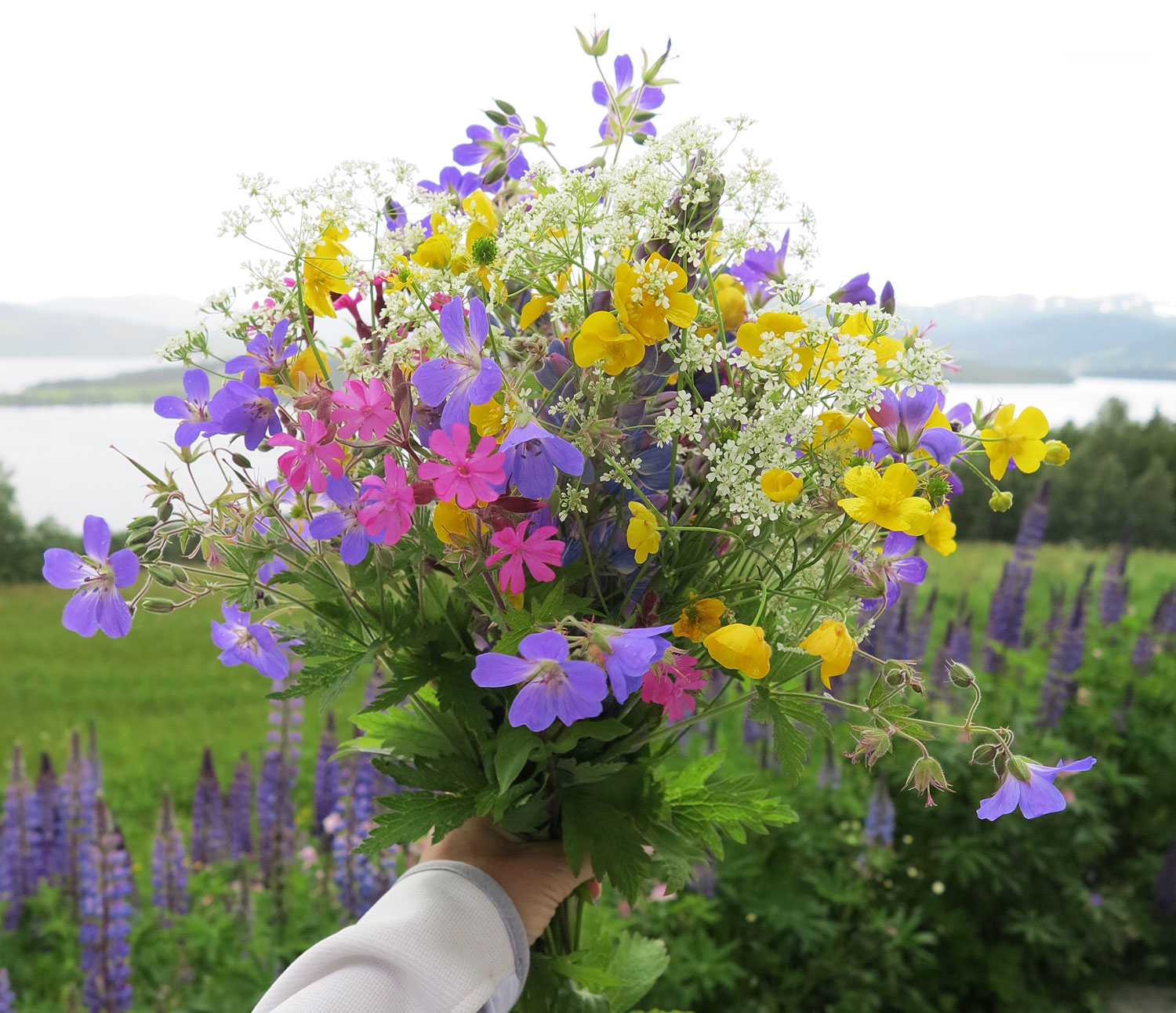 blombukett_jorm - födelsedagspresenter