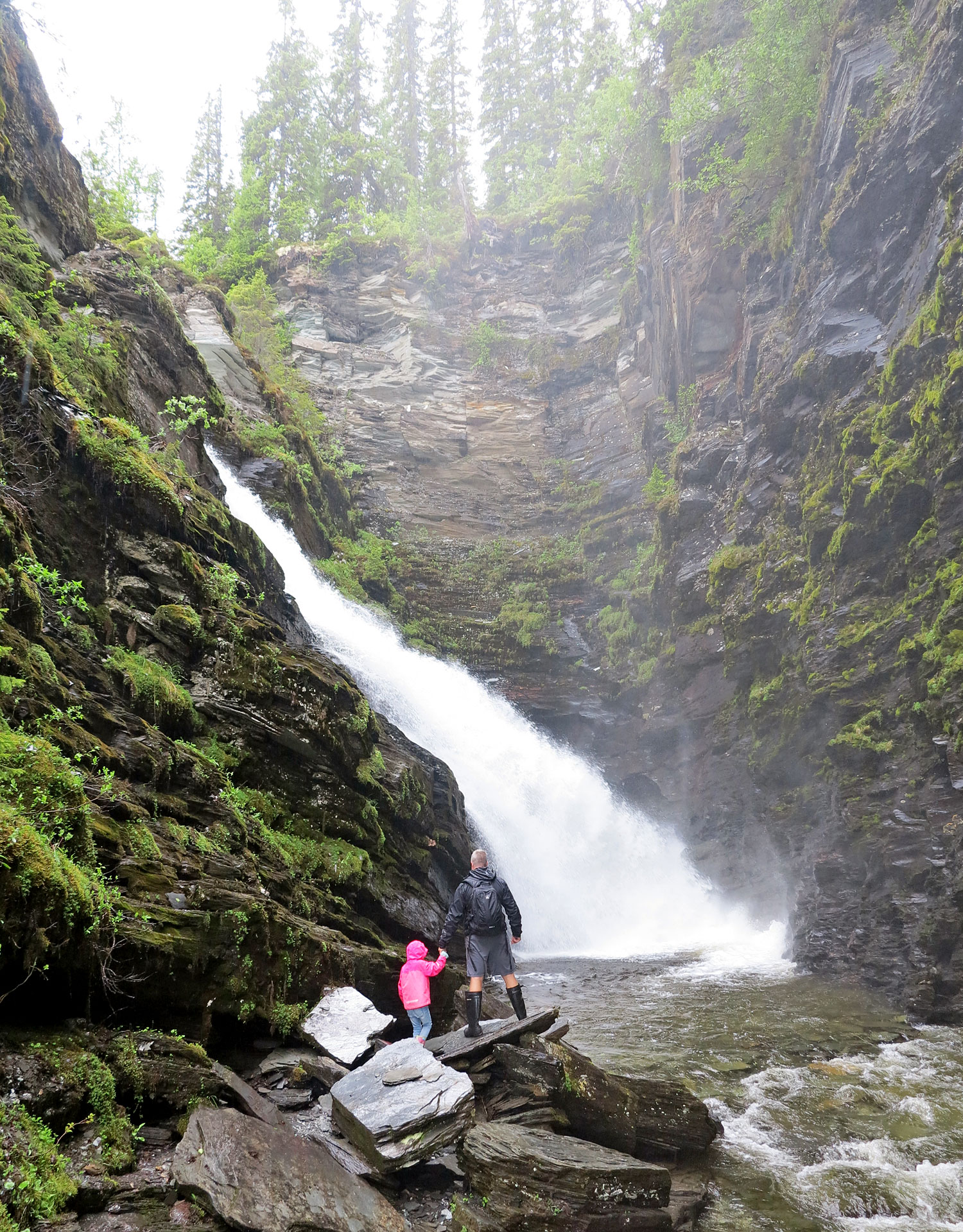 brakkafallet17 - semestern