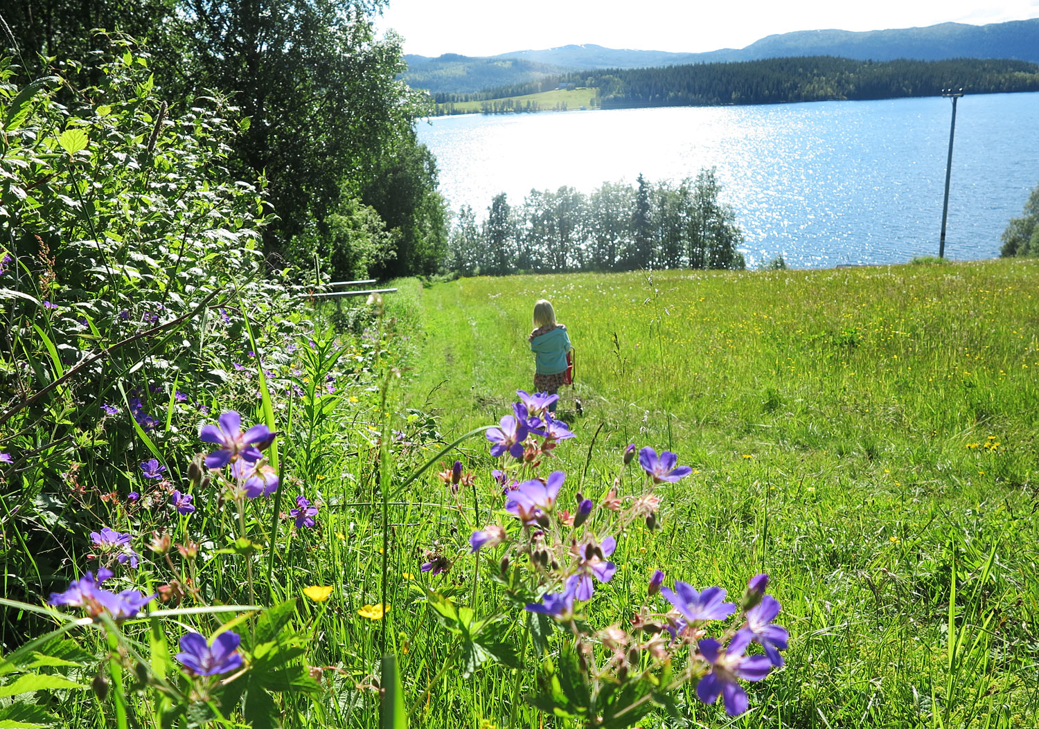 gras_sjon_jorm17 - moderskärlek