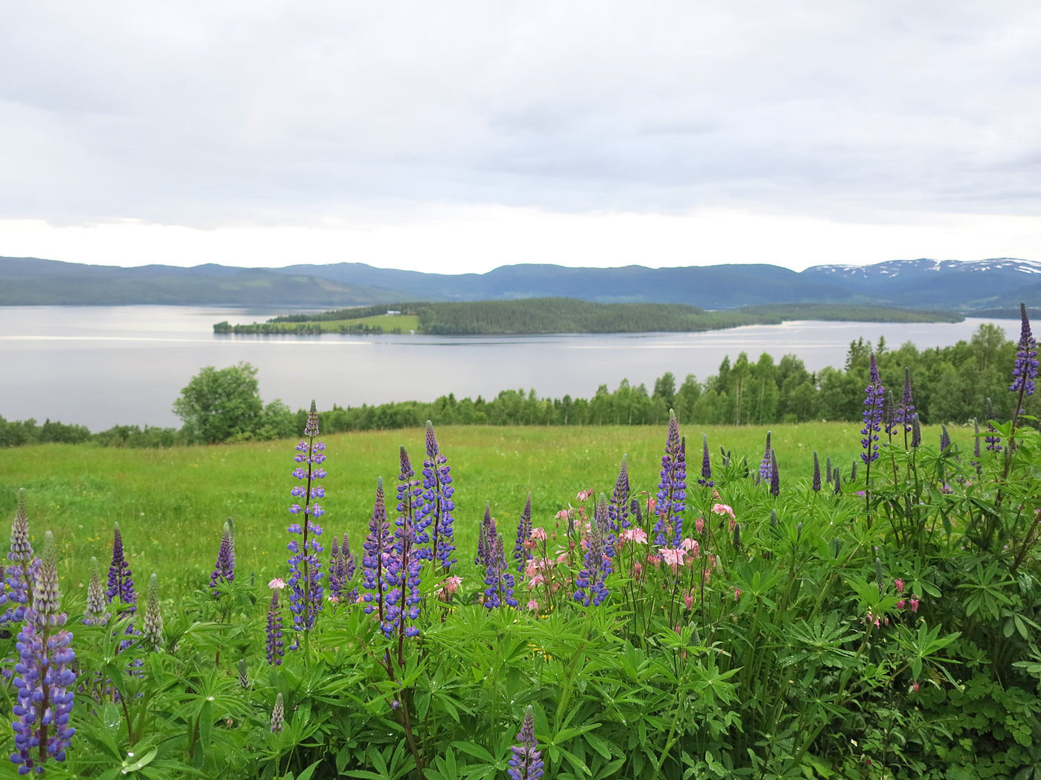 jorm_sommar17 - i Jorm