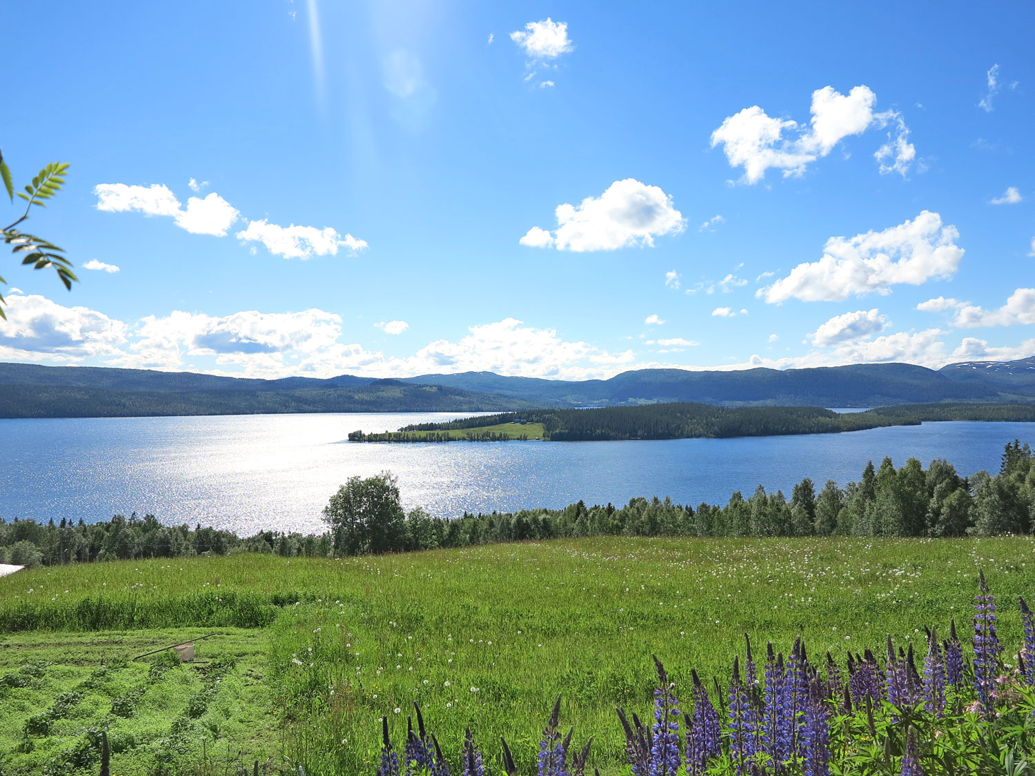 jorm_sommar2017 - passa in