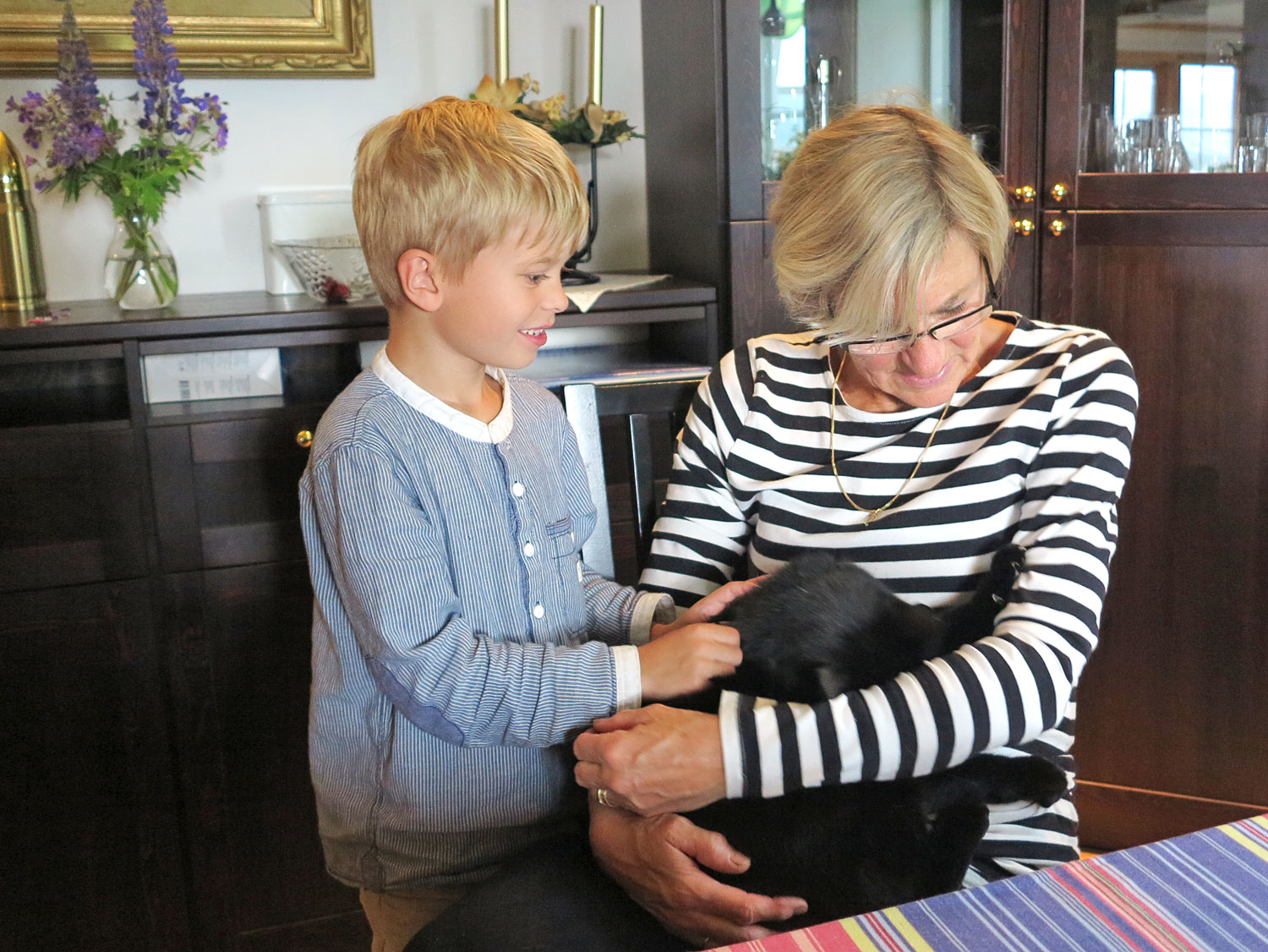 junior_katten - semestern