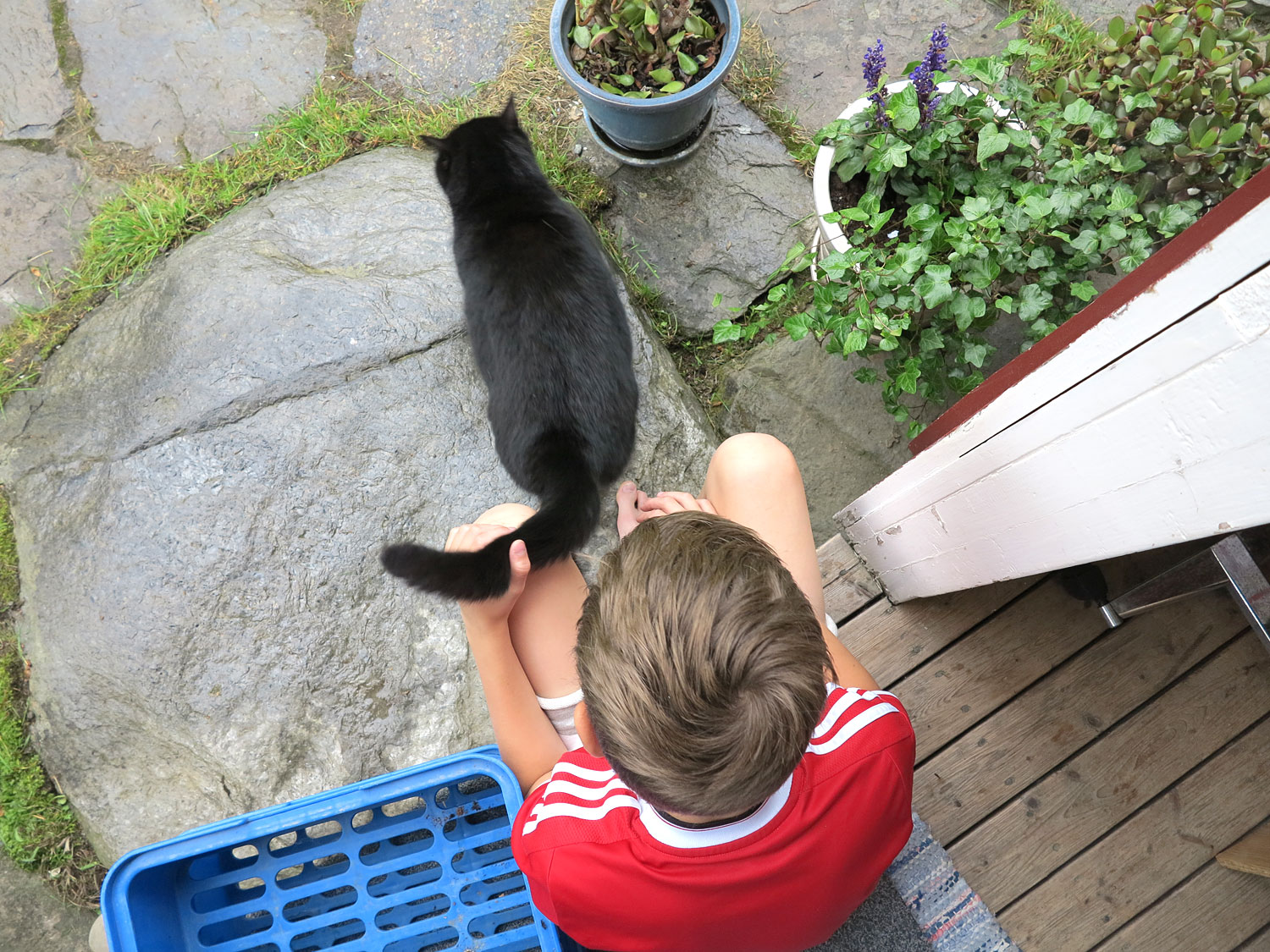 katten_hampus_jorm17 - i Jorm