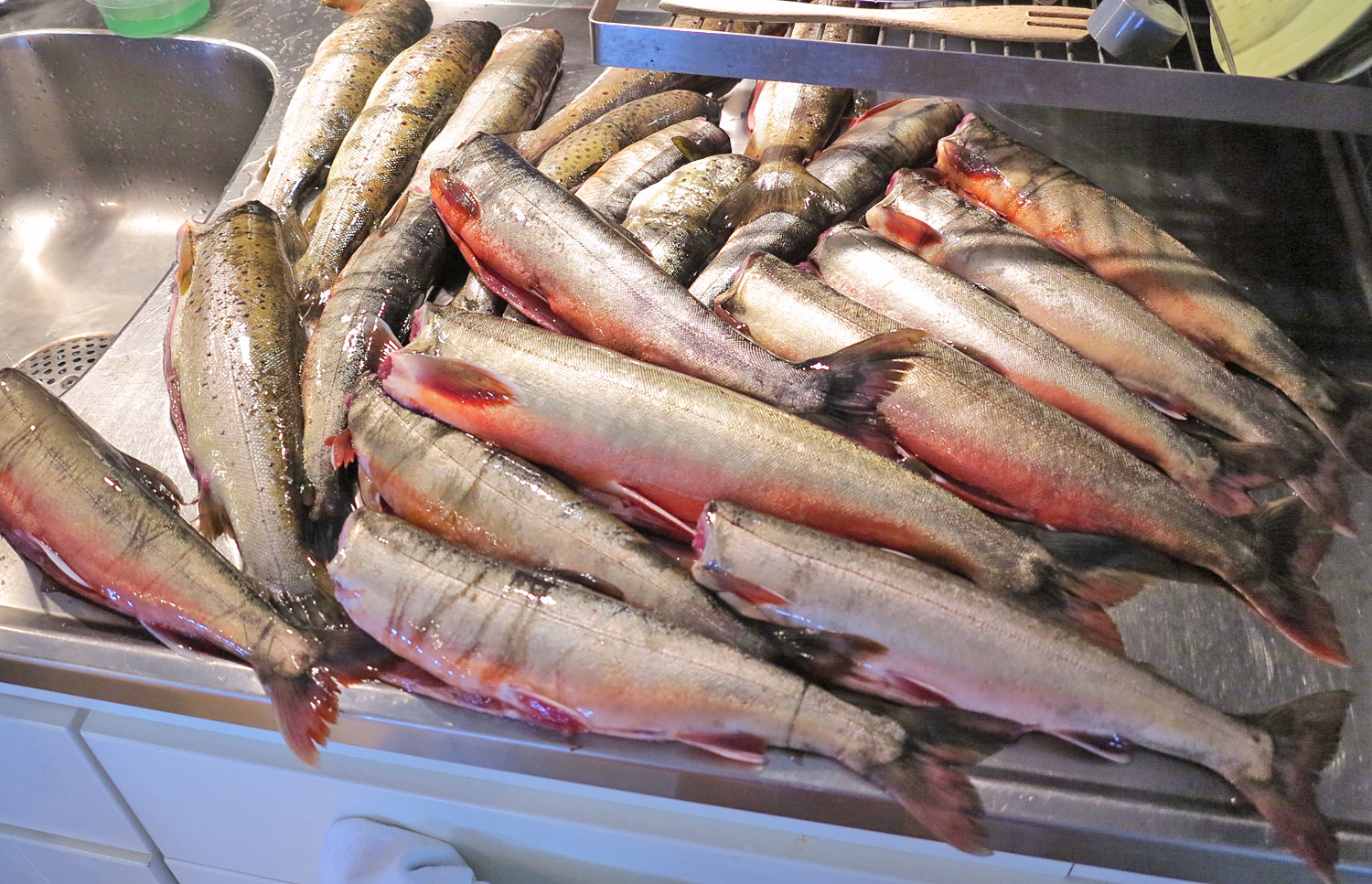 rodingar_17 - födelsedagspresenter