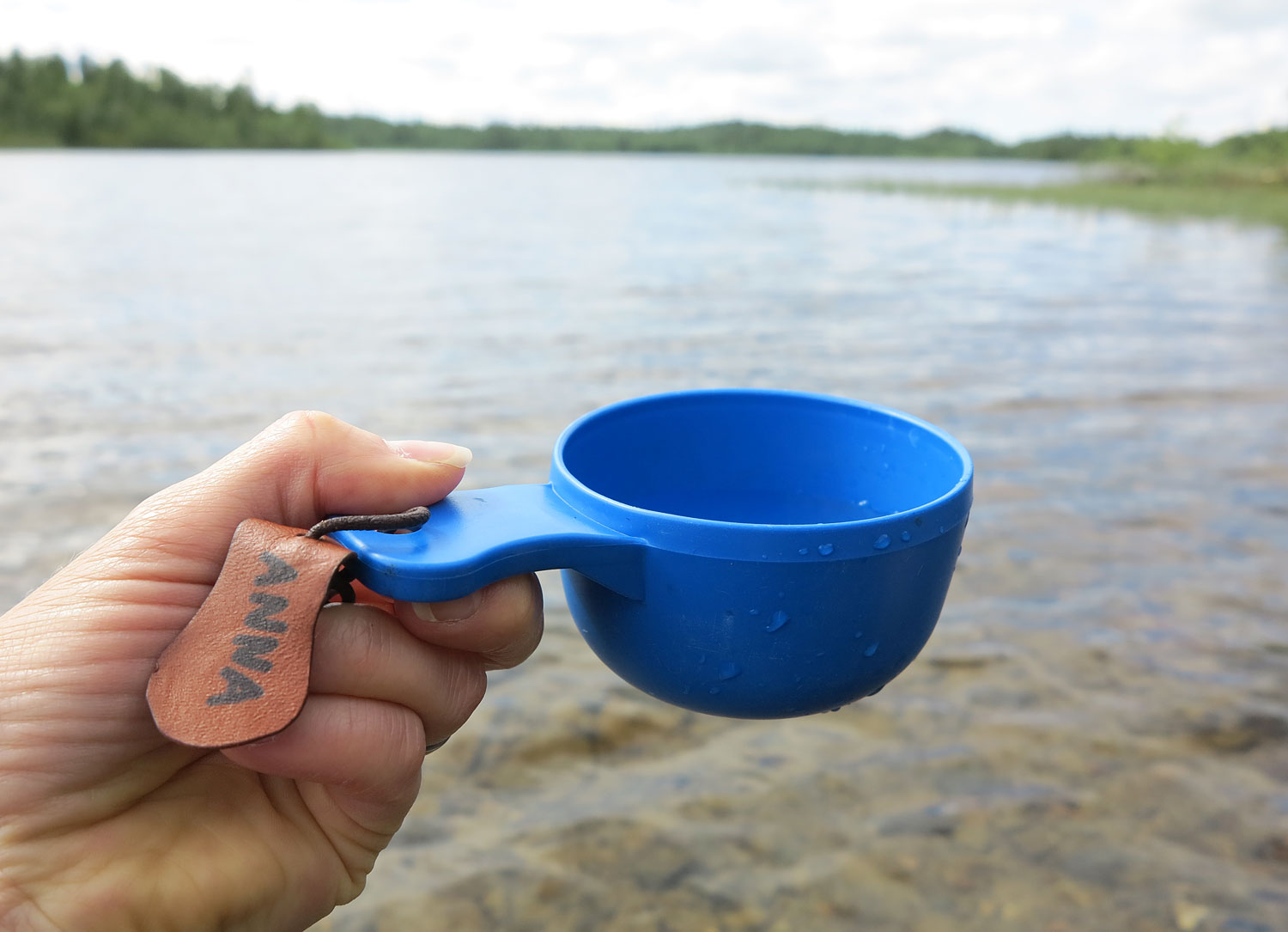 vattenkasa_kvarntjarn17 - fjällen