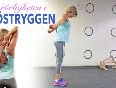 rörlighet i bröstryggen