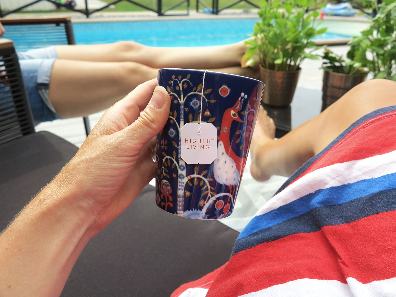 higher_living_mugg - leva