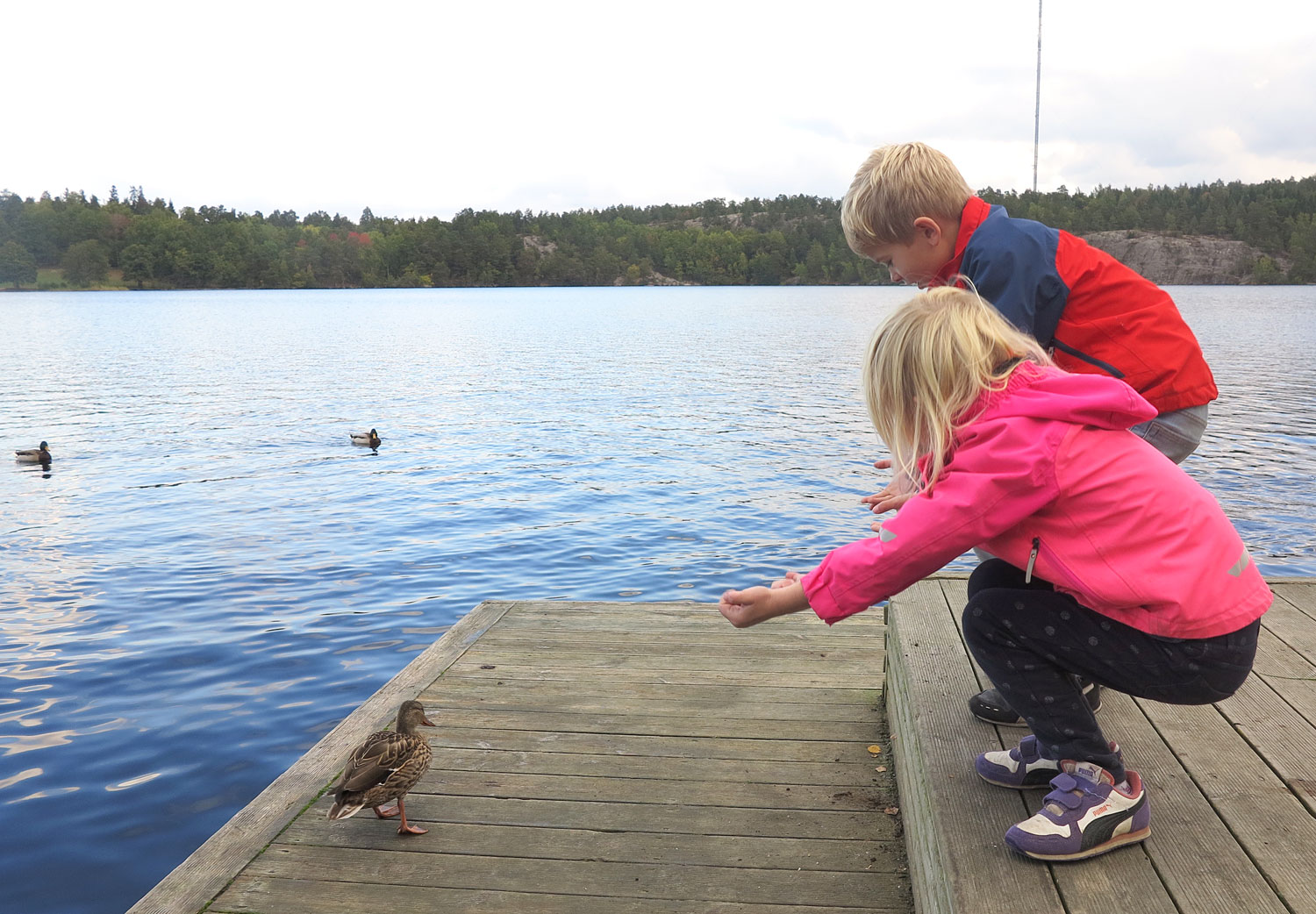 jj_and - test av barnskor