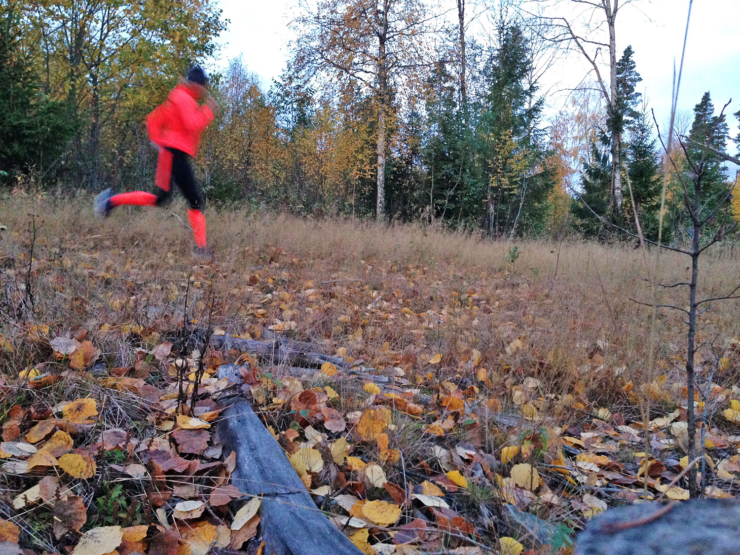 lop_hostlov - förändra