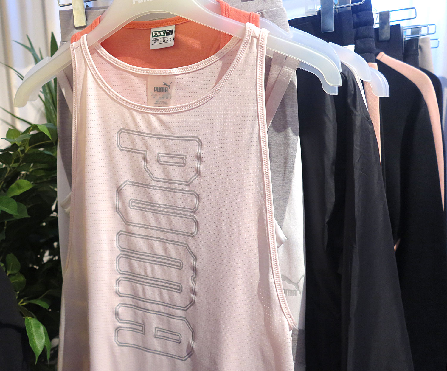 rosa_linne_puma - rosa