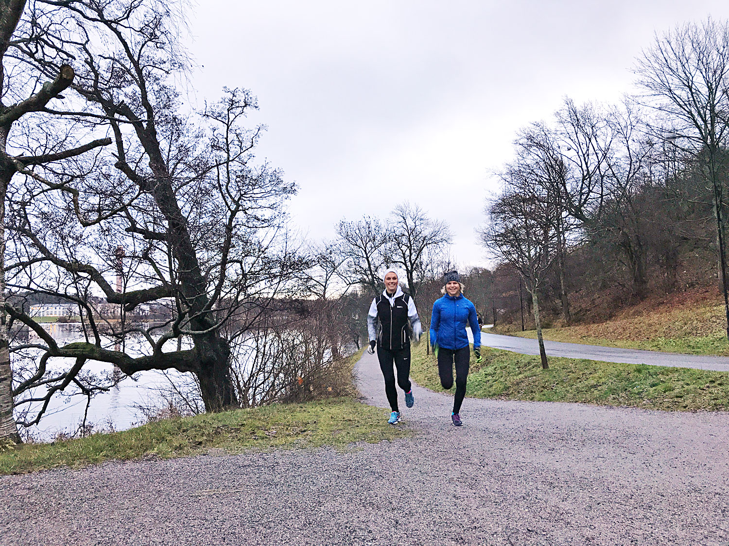 annalissjanis_elinblom_djurg - aktiv återhämtning