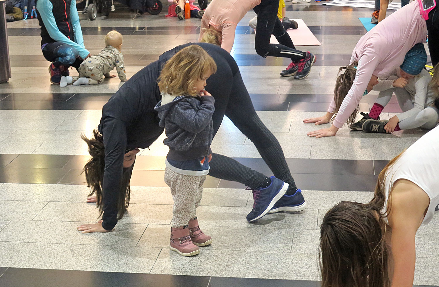 friskochstarkfamilj_stadium_hunden - Frisk och Stark Familj Stadium