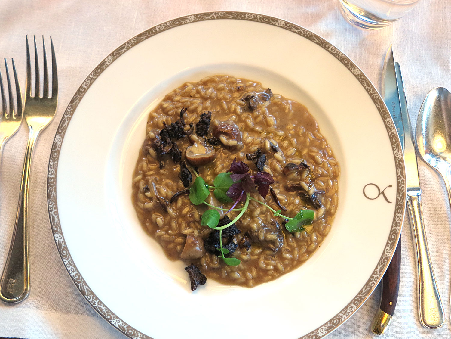 risotto - tigerbalsam