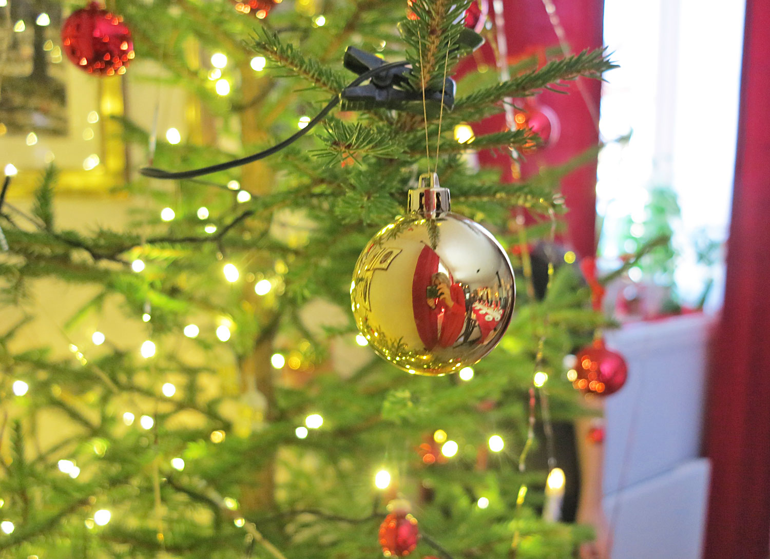 julgranskula - julafton 2017