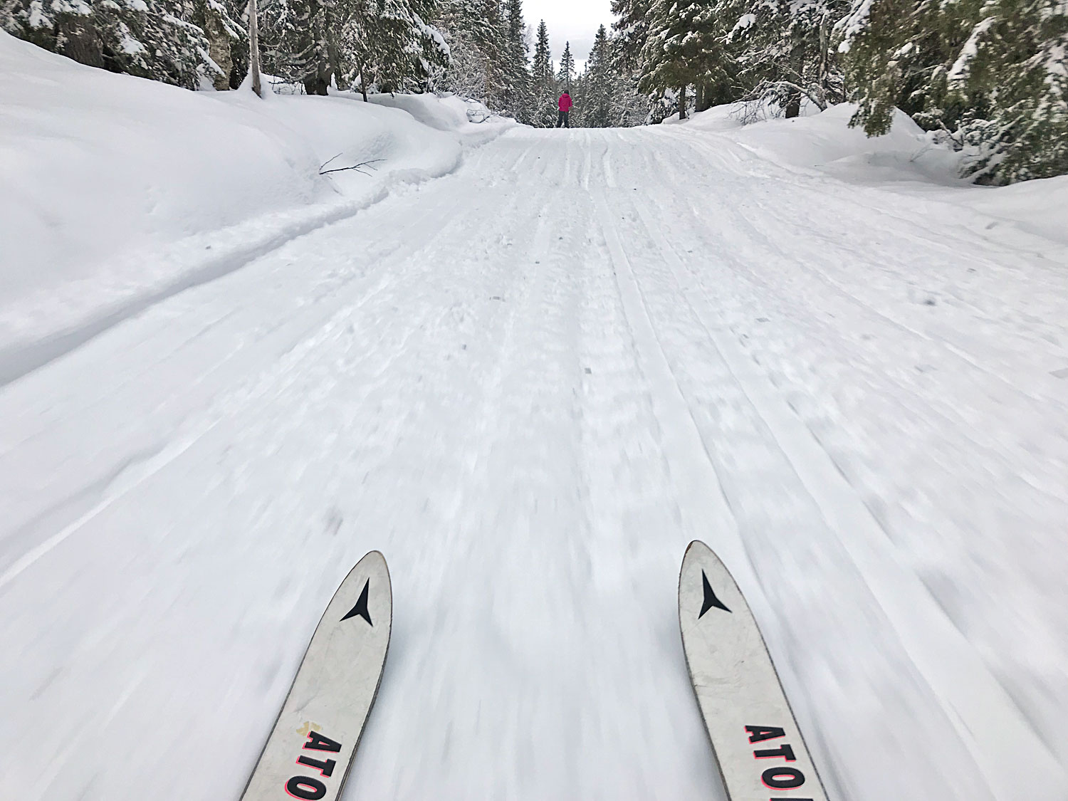 slalom_skid_jorm17 - skidsäsong