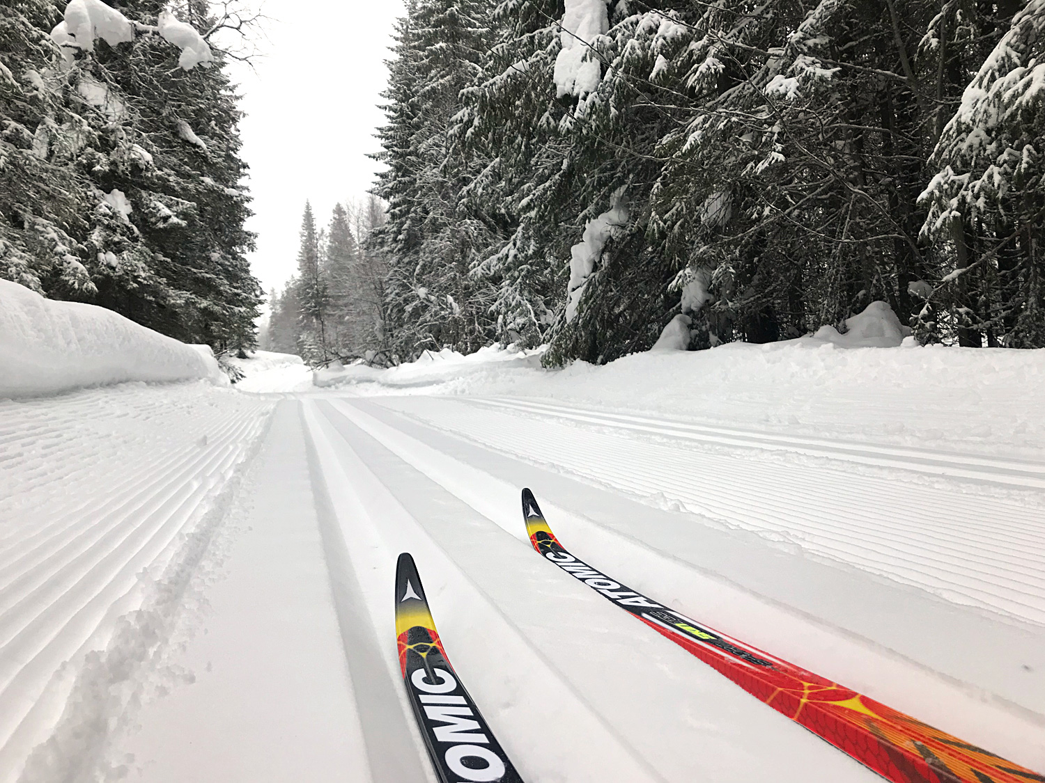 annalissjanis_langdskidor_salen - kvällspass