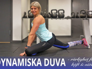 dynamisk duva