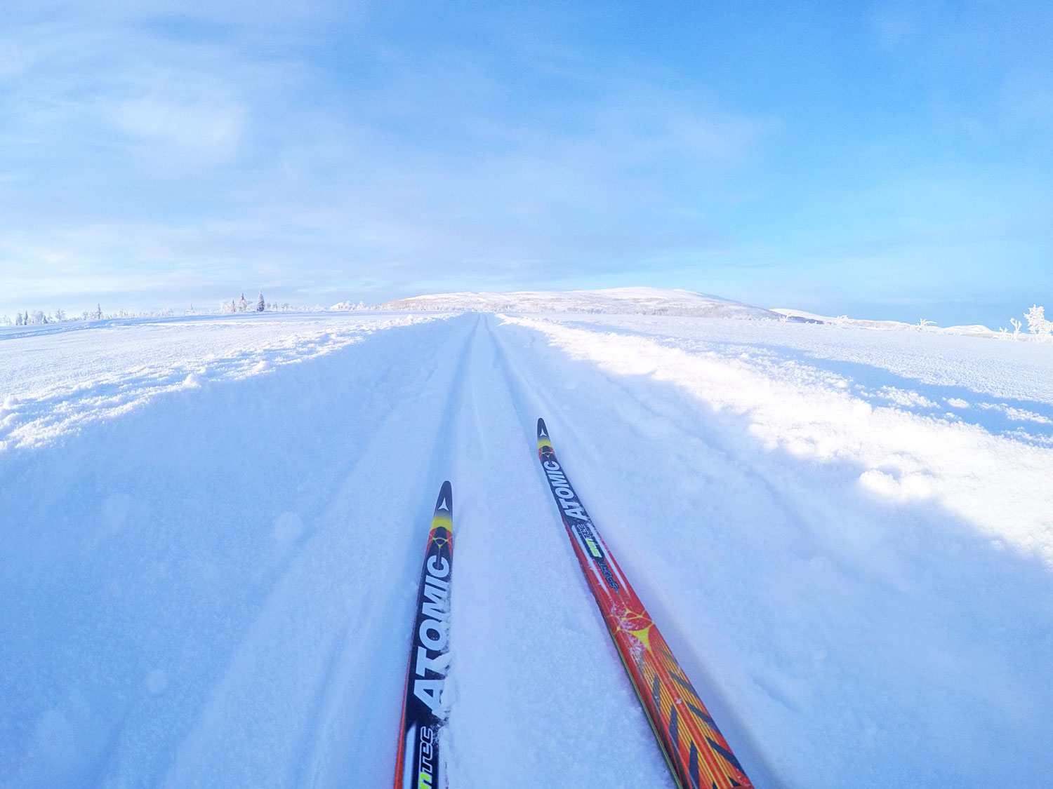 langdskidor_jorm_annalissjanis - nyårsafton