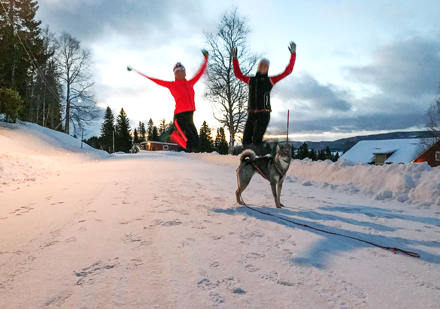 lophopp_jorm_julafton - smarta mål