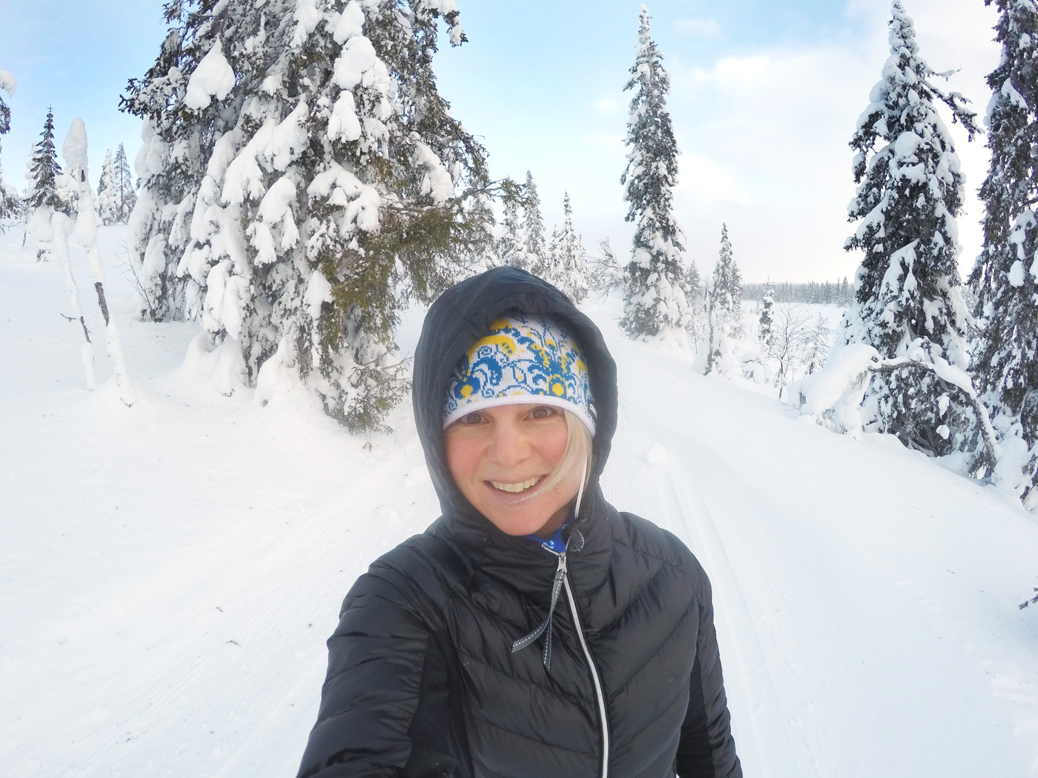 annalissjanis_langdskidor_hogfj18 - träningsplan