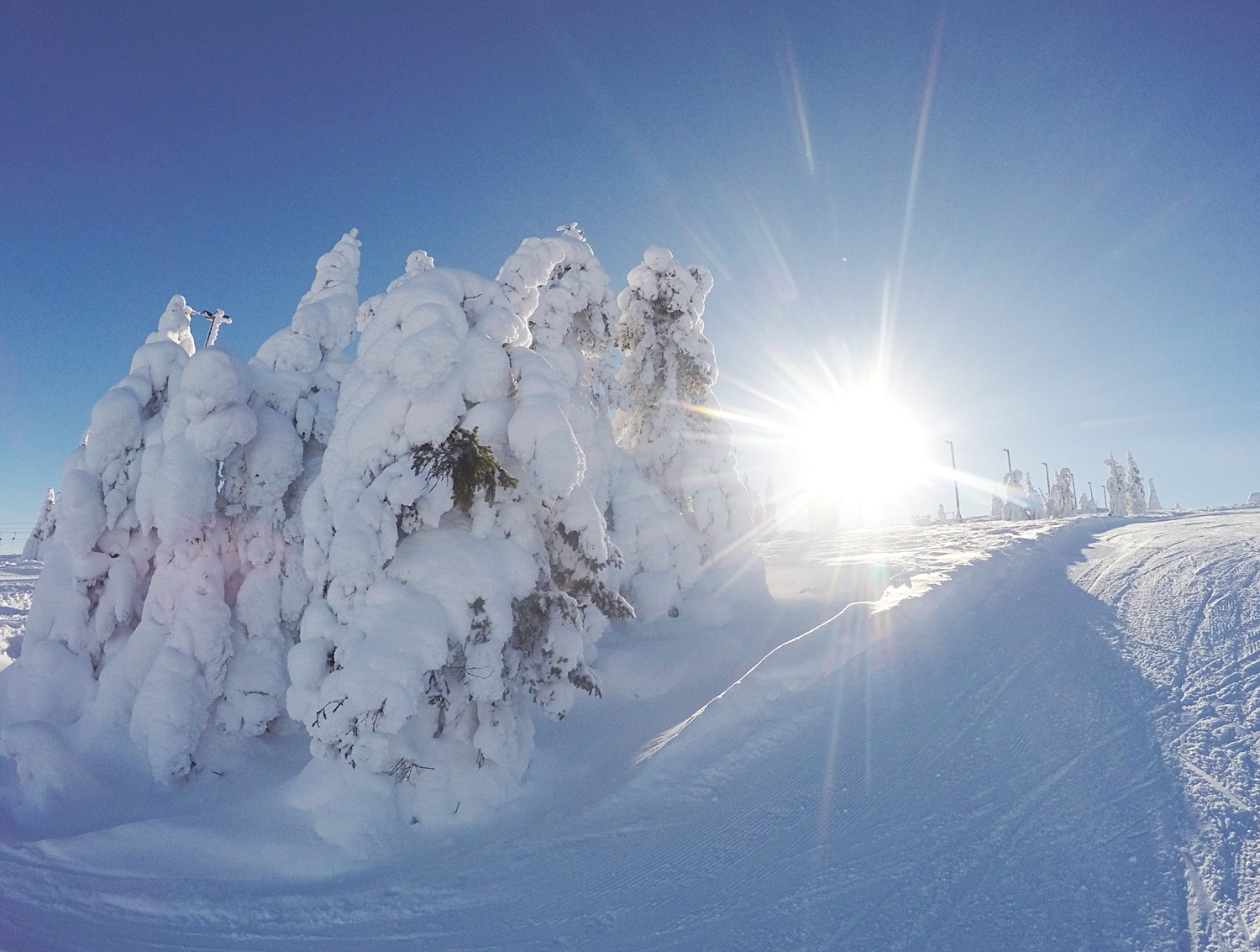 granar_hogfjallet - högfjället
