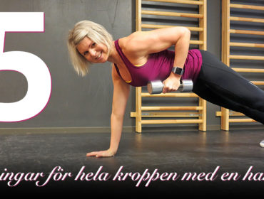 hantel_banner_annalissjanis