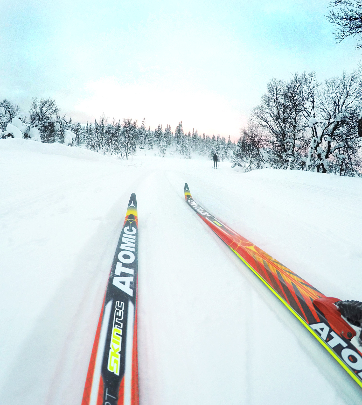 langdskidor_hogfjallet_annalissjanis - högfjället