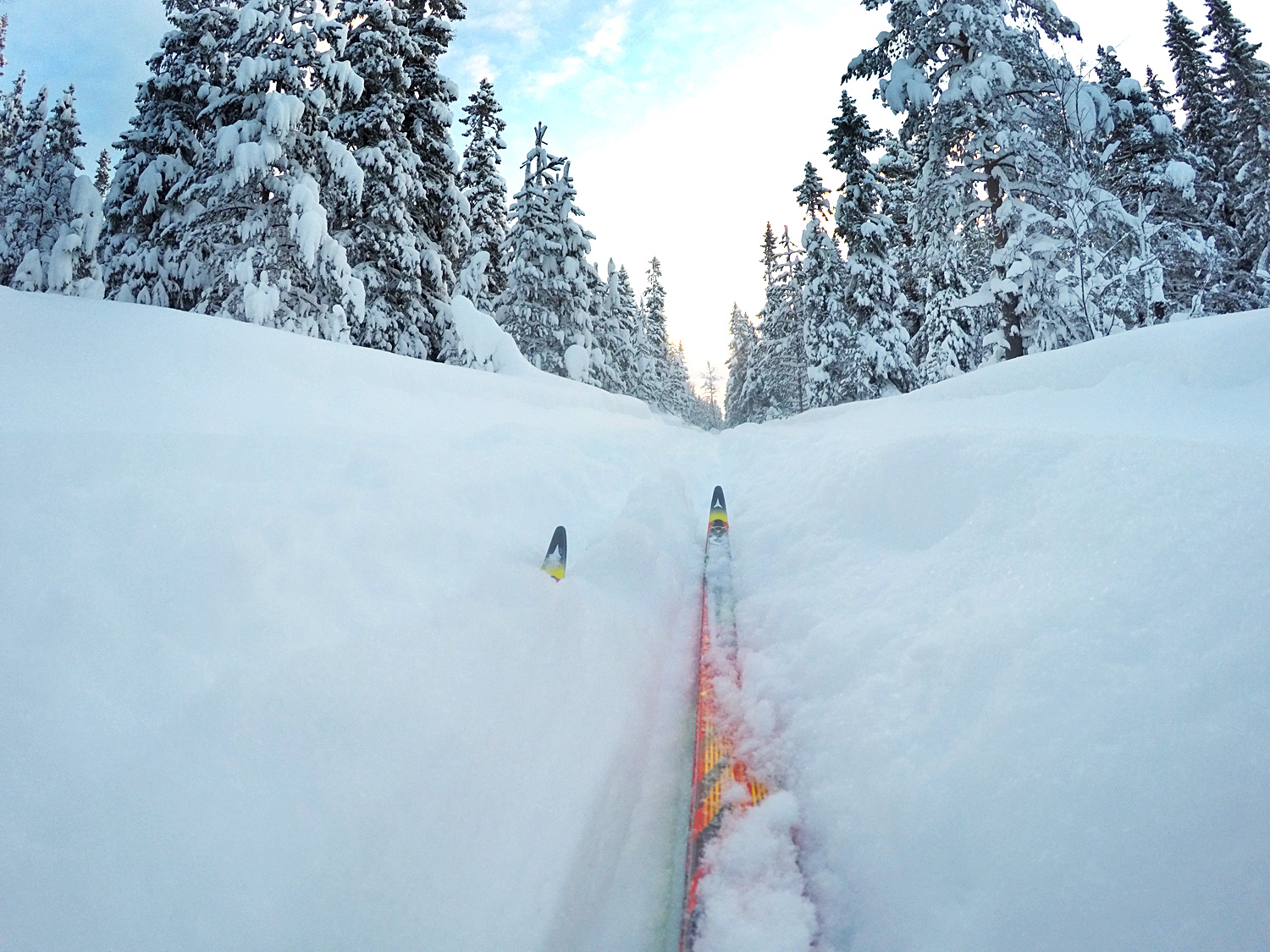 skidor_nysno_lindvallen18 - vackrast